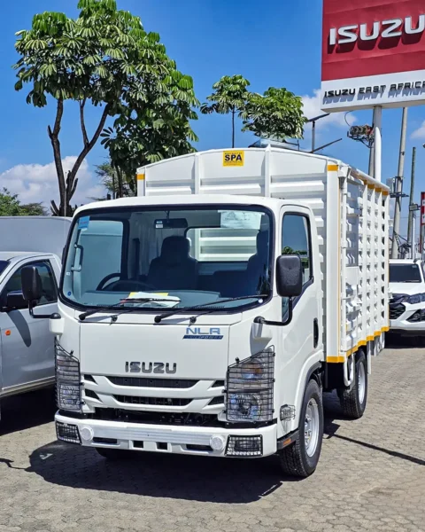 White Isuzu NLR Blue Power truck parked at an Isuzu dealership with other vehicles in the background.