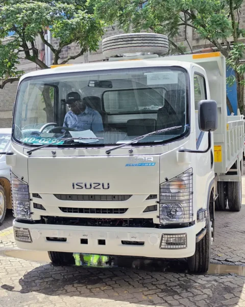 Angled front view of a white Isuzu NQR 81 Blue Power tipper with a hydraulic dump body, showcasing its durable build, wide windshield, and construction-ready design in an outdoor setting.